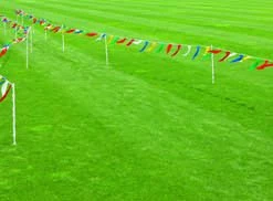 Gill Athletics CROSS COUNTRY KIT