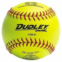 DUDLEY SPORTS Dudley WIAA Yellow SBs - Ea