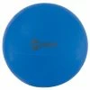 Champion Sports CHAMPION FITPRO™ BALLS (37" BLUE) -Cheap Baseball & Softball Store champion fitpro training exercise 37 5 ball