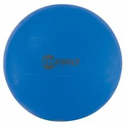 Champion Sports CHAMPION FITPRO™ BALLS (37" BLUE)