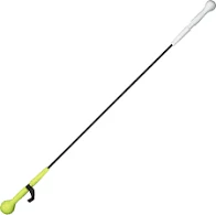 EASTON TRAINING STICK (BASEBALL/SOFTBALL)
